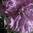 Предпросмотр схемы вышивки «Букет полевых цветов» (№2518410)