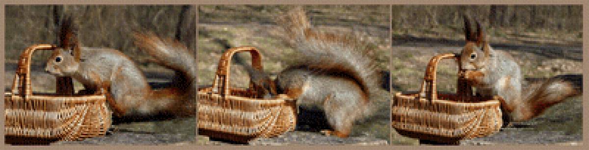Белочка - белка, корзина - предпросмотр