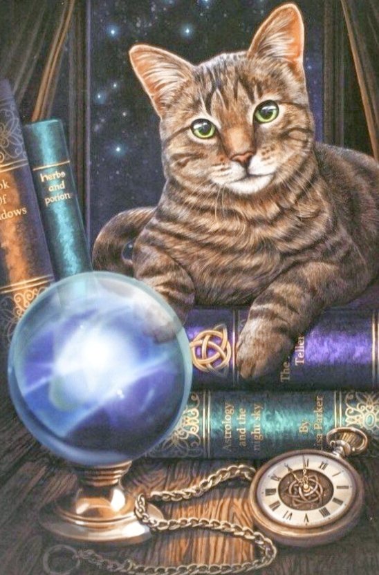 Кот - кот - оригинал