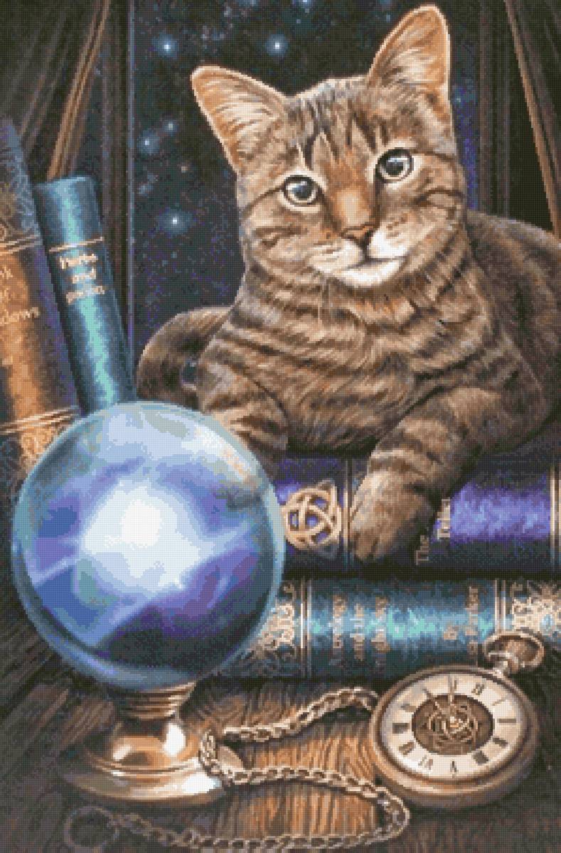 Кот - кот - предпросмотр