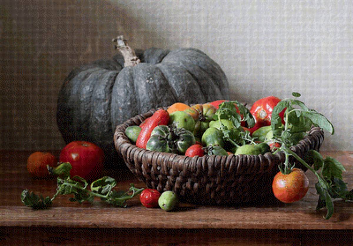 Урожай - тыква, корзина, овощи, натюрморт, помидоры - предпросмотр