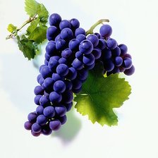 Схема вышивки «№2519771»