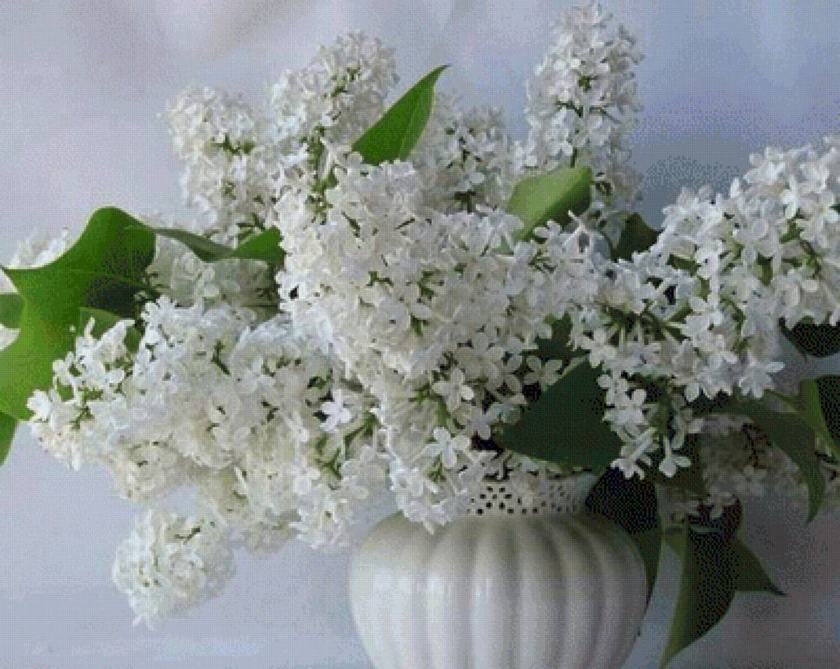 №2519781 - предпросмотр