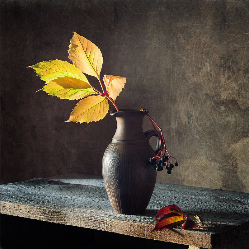 Луч осеннего солнца - листья. ветка, натюрморт - оригинал