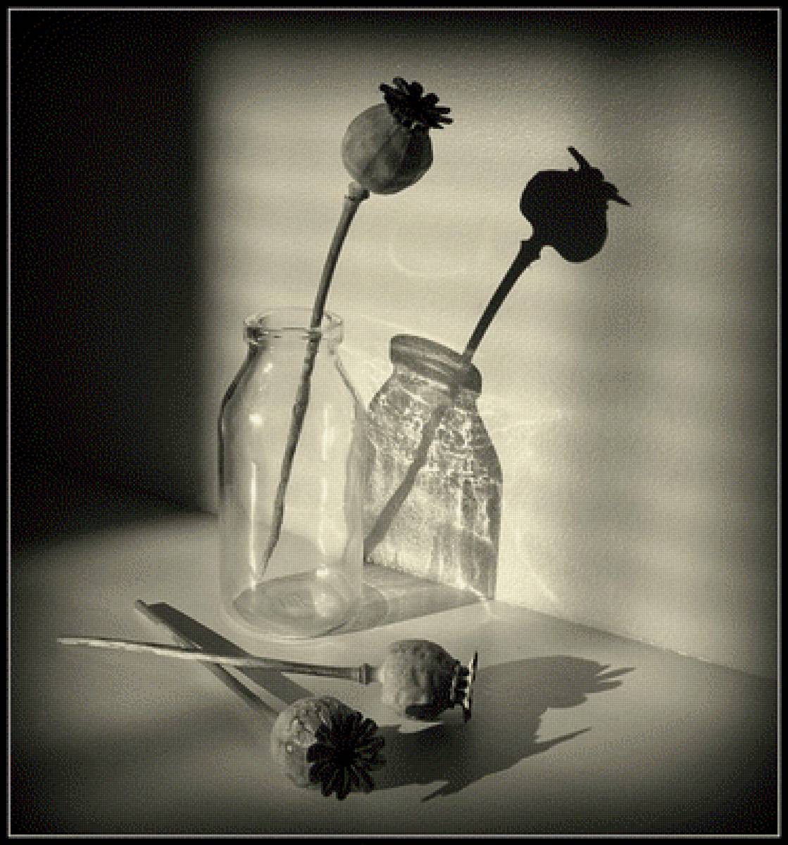 Минимализм - мак, натюрморт - предпросмотр