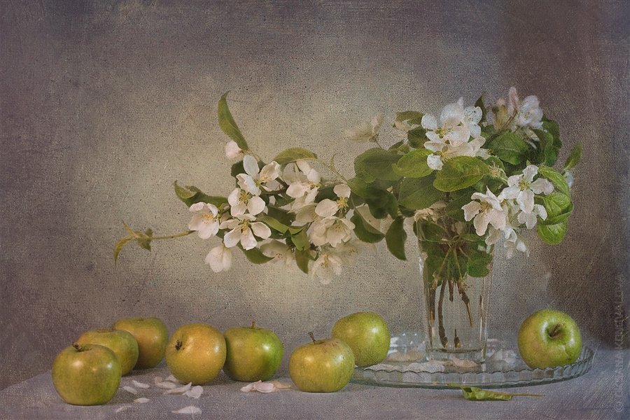 Яблоки - натюрморт - оригинал