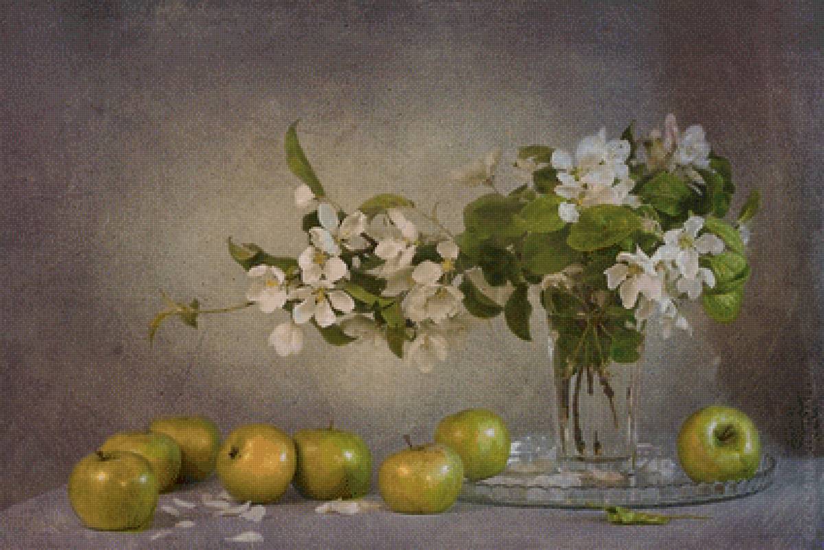 Яблоки - натюрморт - предпросмотр