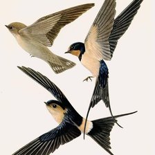 Схема вышивки «№2520393»