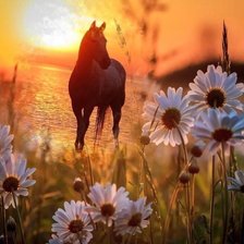 Схема вышивки «№2520898»