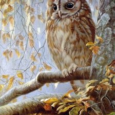 Схема вышивки «№2520936»