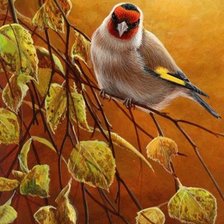 Схема вышивки «№2520966»