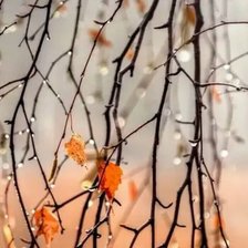 Схема вышивки «№2520974»