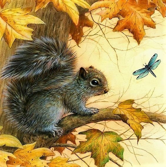 Белка и стеказа - животные - оригинал