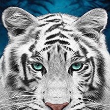 Схема вышивки «№2520994»