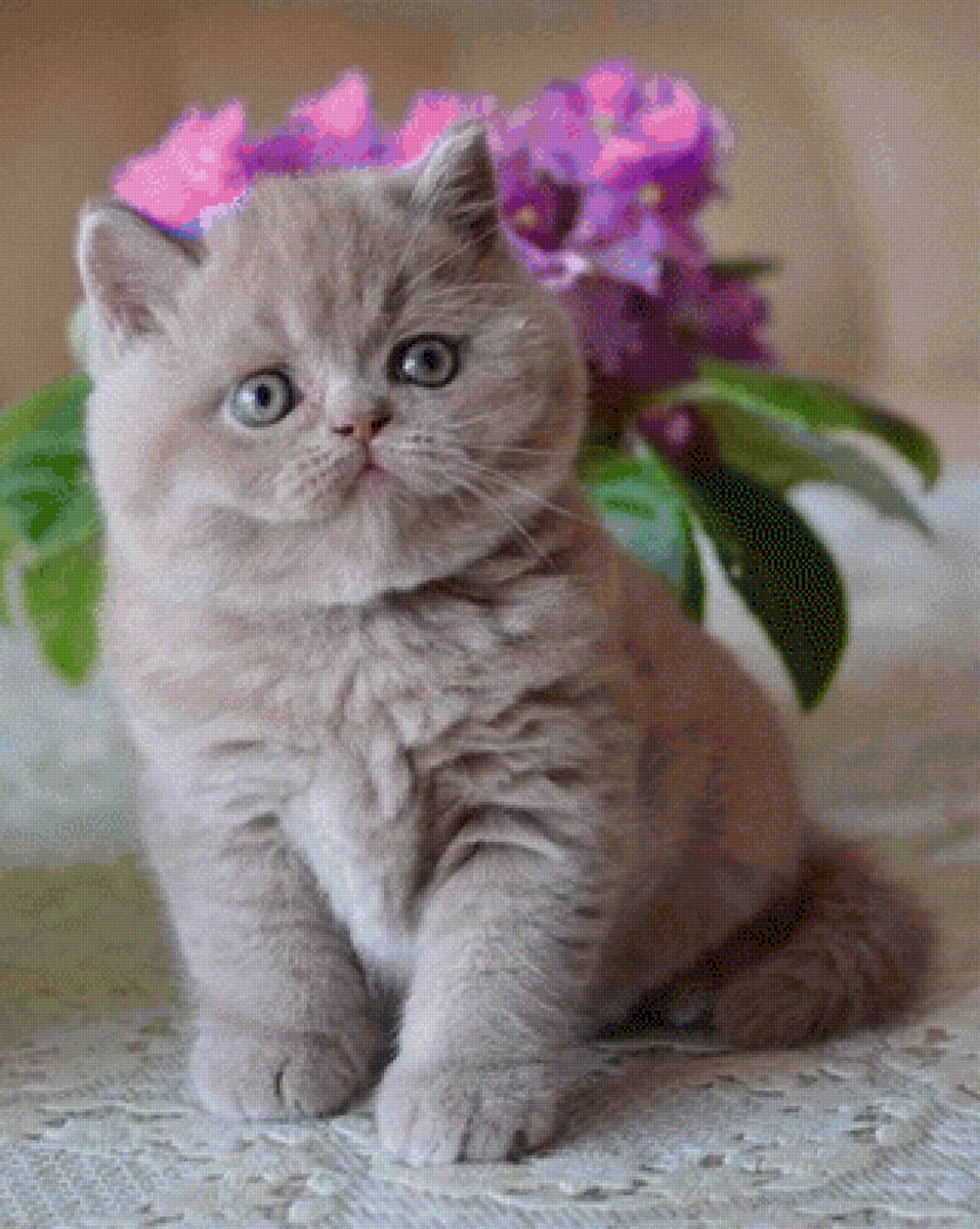 №2521005 - предпросмотр