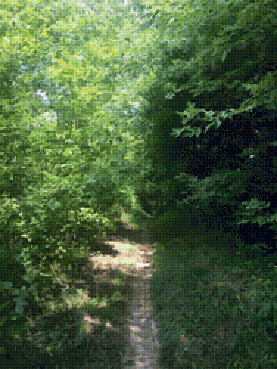 Лесная тропинка - лес, пейзаж, лето - предпросмотр