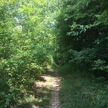 Схема вышивки «Лесная тропинка»