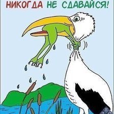 Схема вышивки «№2521027»