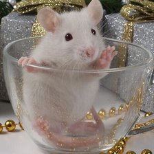 Схема вышивки «№2521126»