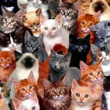 Схема вышивки «№2521133»