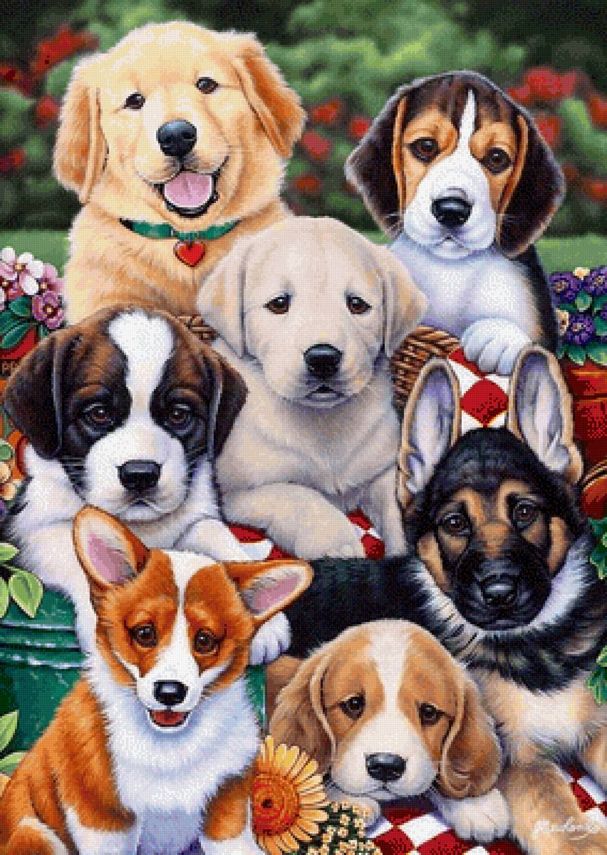 №2521141 - предпросмотр