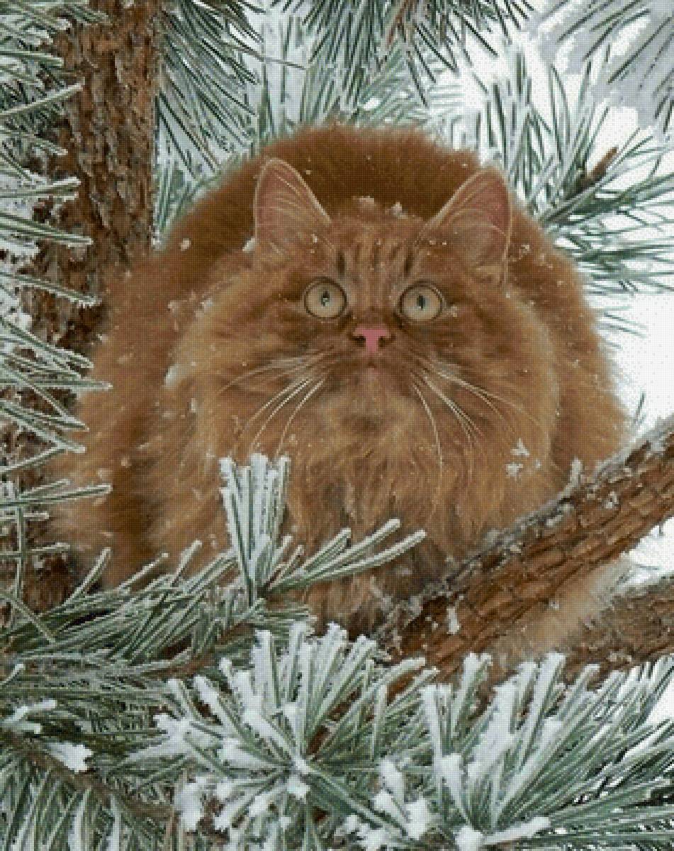 №2521162 - предпросмотр