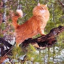 Схема вышивки «№2521164»