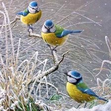 Схема вышивки «№2521166»