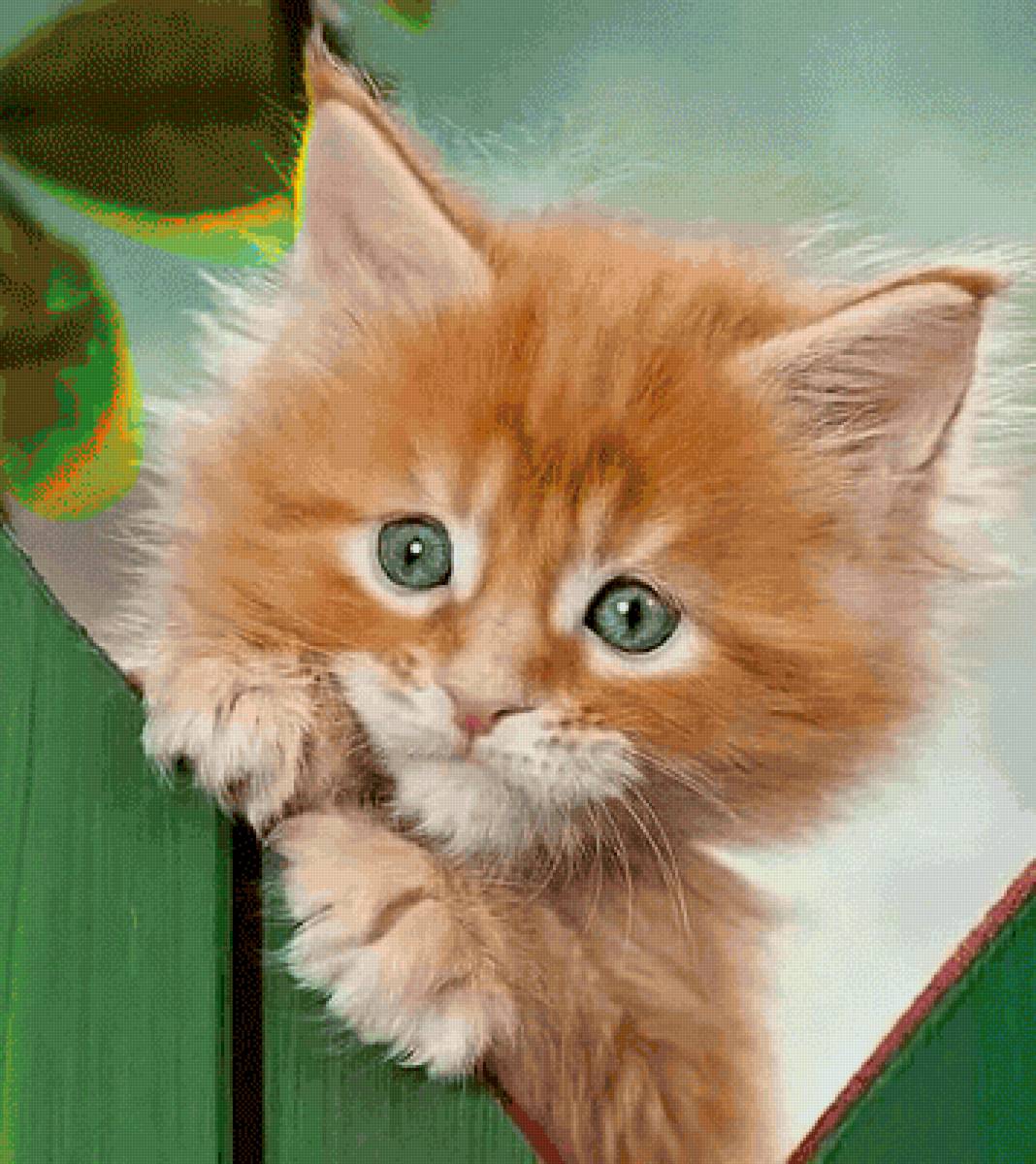 №2521170 - предпросмотр