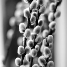 Схема вышивки «№2521201»