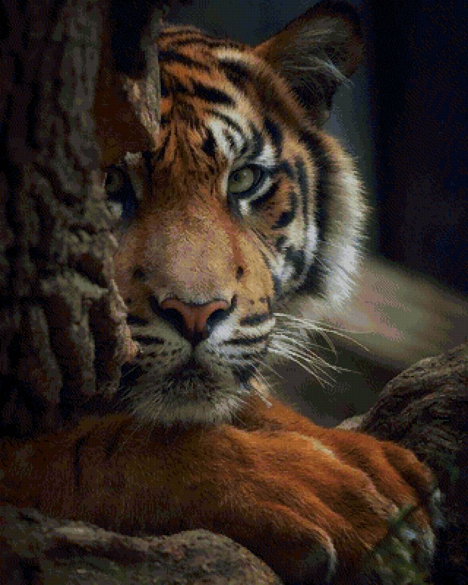 тигр - большие кошки, кошки, животные - предпросмотр