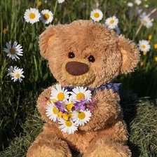 Схема вышивки «№2521496»