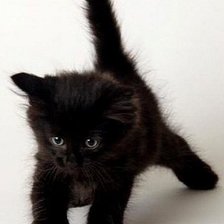 Схема вышивки «№2521505»