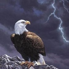 Схема вышивки «№2521511»