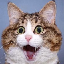 Схема вышивки «№2521546»