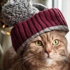 Схема вышивки «№2521561»