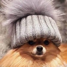 Схема вышивки «№2521567»