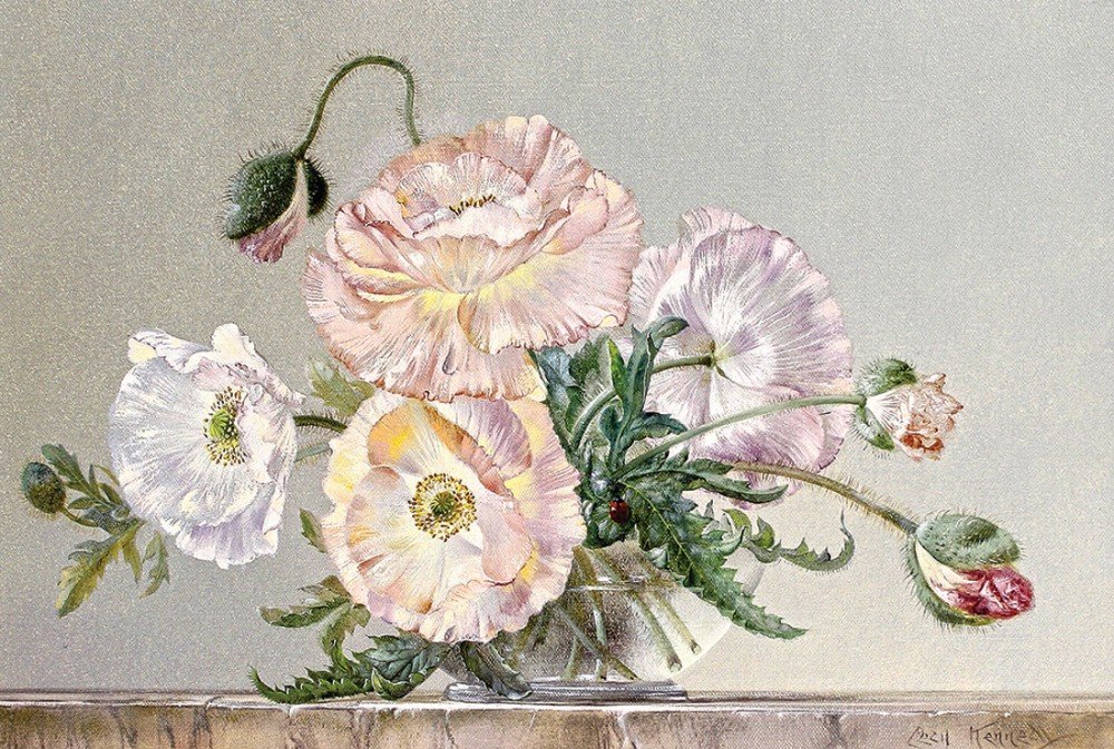 Сесил Кеннеди. Букет. - букет, сесил кеннеди - оригинал