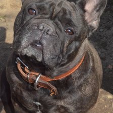 Схема вышивки «№2521781»