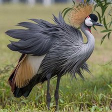 Схема вышивки «№2522100»