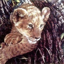 Схема вышивки «№2522132»