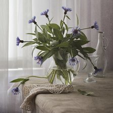 Схема вышивки «Васильковый»