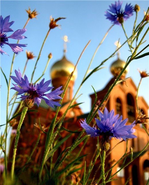 тихий дворик - купола, церковь, православный храм - оригинал