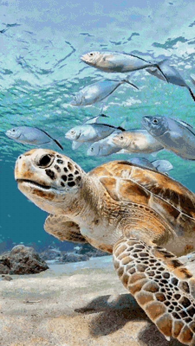 mar du - paisaje - предпросмотр