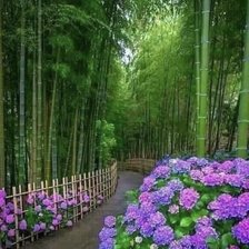 Схема вышивки «paso»