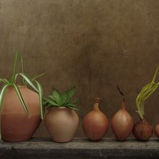 Схема вышивки «В ряд»