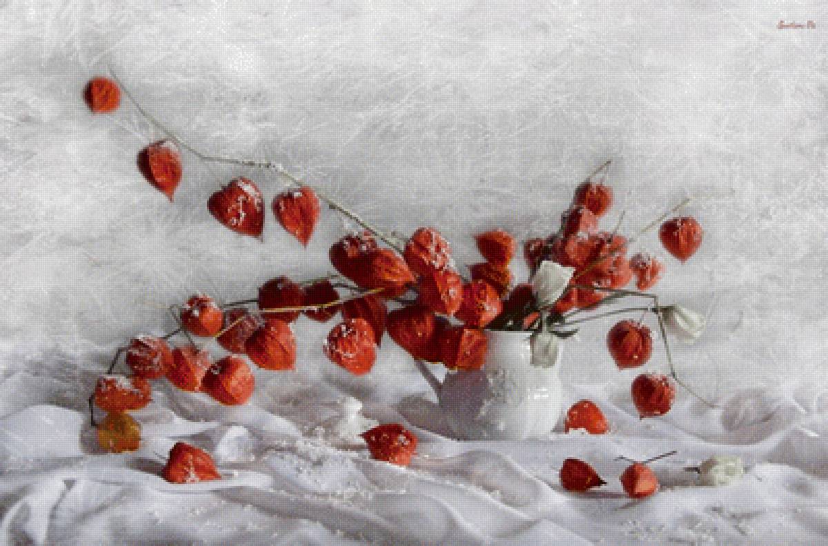 Зимний букет - физалис, натюрморт - предпросмотр