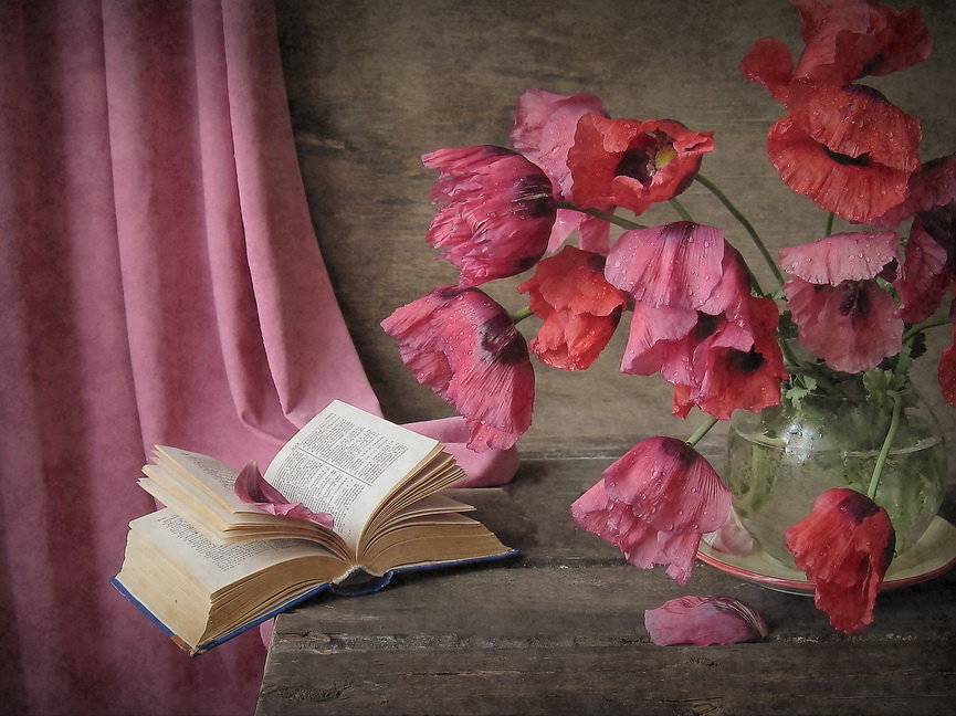 Маки - книга, цветы, маки, натюрморт, букет - оригинал