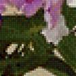 Предпросмотр схемы вышивки «Флоксы» (№2523413)