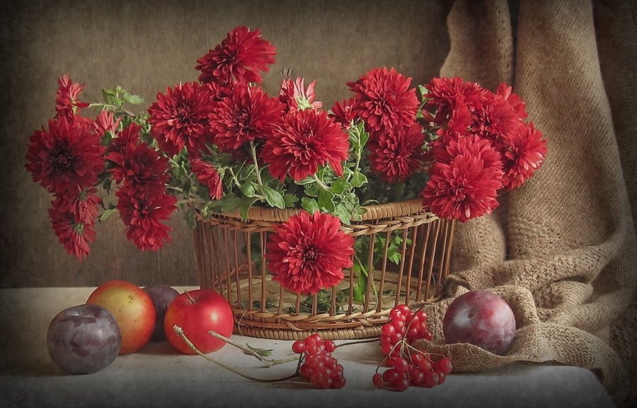 Хризантемы - корзина, сливы, хризантемы, букет, натюрморт, цветы - оригинал